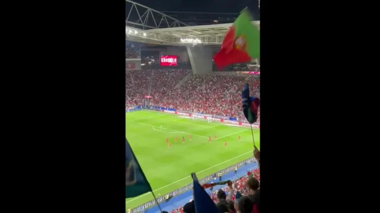 Bandeiras no ar (e não só). Dragão festejou golaço de Cancelo desta forma